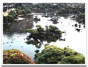 ��ԁE������